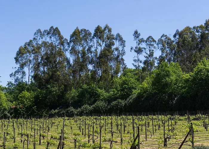 펜션 Quinta Da Estivada *